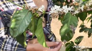 Deeptroath in coffee plantation - 2 image