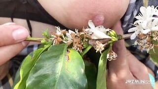 Deeptroath in coffee plantation - 3 image