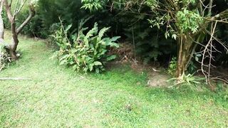 COMPLETE! (LUSH) Hot Milf Wanna Have Fun Walking With Her LUSH Inside And Have A BIGORGASM - 13 image