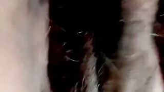 Putting on my panty see my hairy mature pussy from bottom up - 11 image