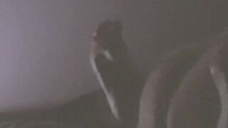 Fucking best friends wife after he goes to work in his bed. She cums and moans so good - 6 image