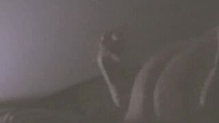 Fucking best friends wife after he goes to work in his bed. She cums and moans so good - 7 image