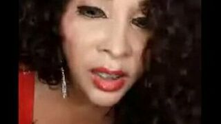 VP04 - Elvira Palomino 361mdf - 1 image