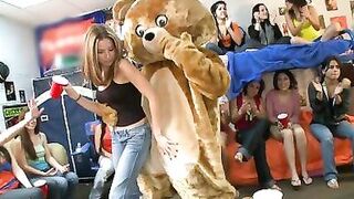 DANCING BEAR - What Happens When Homo Strippers Invade A Dorm Room? Discover Out! - 1 image