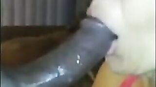 Getting some Head from my GILF - 1 image