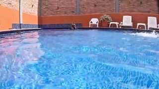 Sorprende MILF Dweybigass gets her tight pussy pounded in a rough pool sex session - 3 image