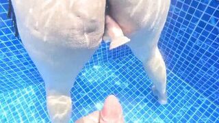 Sorprende MILF Dweybigass gets her tight pussy pounded in a rough pool sex session - 4 image